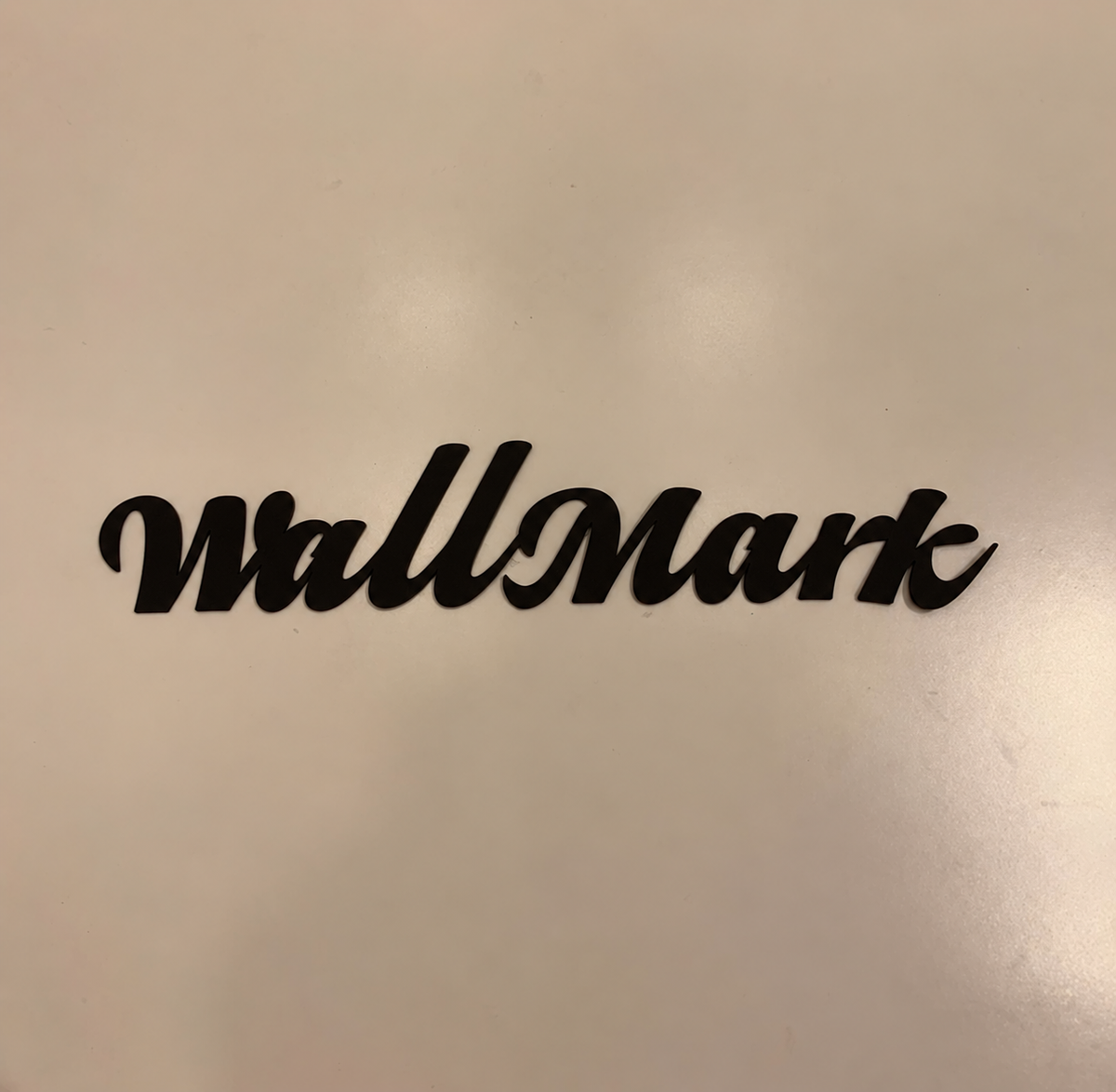 ZNB_201 Elegant Script Stainless Steel Name Plate | 1 mm Spacer Mount